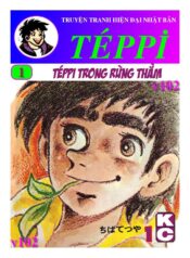 Teppi T01