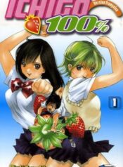 51IKfLTNuGL._UF1000,1000_QL80_